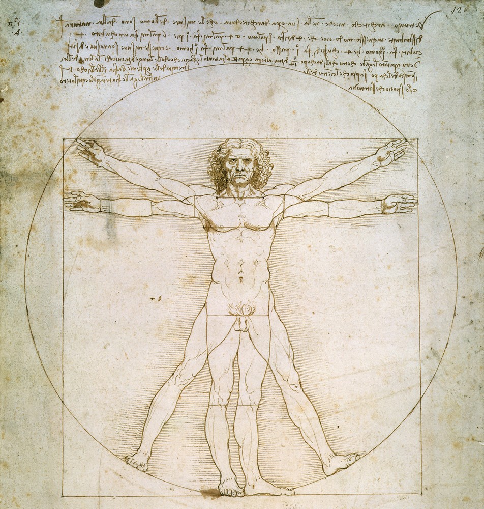 Доклад по теме Краткий доклад про Леонардо да Винчи (с иллюстрациями)