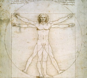Леонардо да винчи портреты карандашом. Пропорции человеческого тела