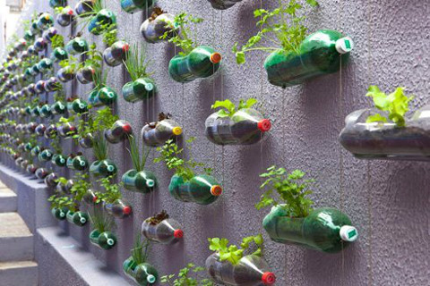 15 идей, как можно использовать пластиковые бутылки на даче | Вдохновение (натяжныепотолкибрянск.рф)