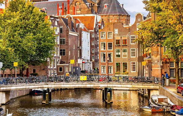 Нью Амстердам в ноябре - что взять и что делать: отдых, погода, отзывы