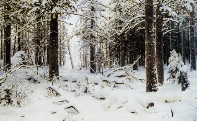 Картина «Зимний лес» («Зима»), Шишкин — описание