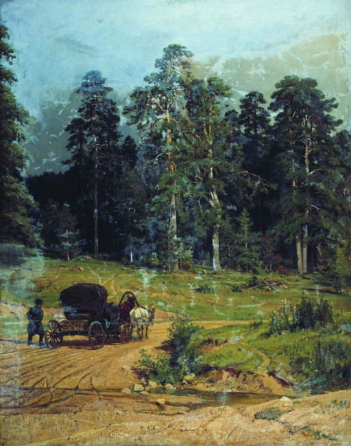«Полесье», Иван Иванович Шишкин, 1883 — описание картины