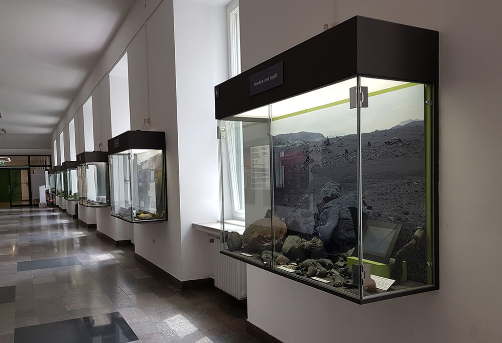 Экспозиция палеонтологического музея в Мюнхена