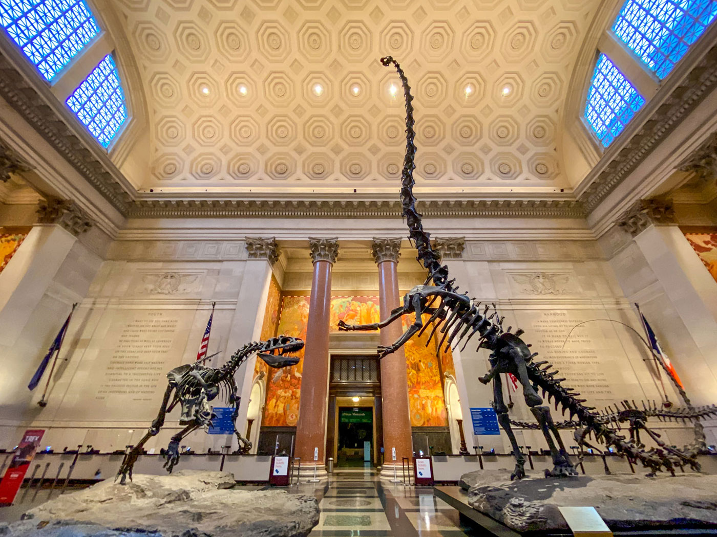 Скелеты динозавров в американском музее естественной истории