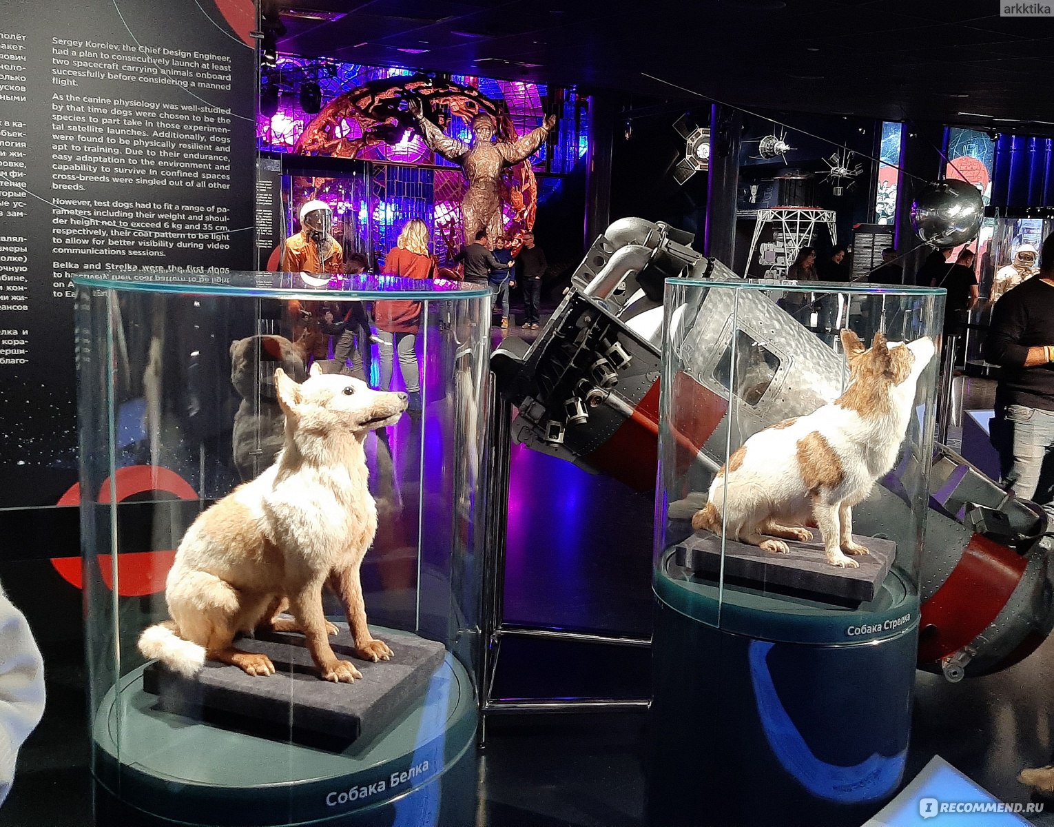 Белка и Стрелка в музеи космонавтике в Москве