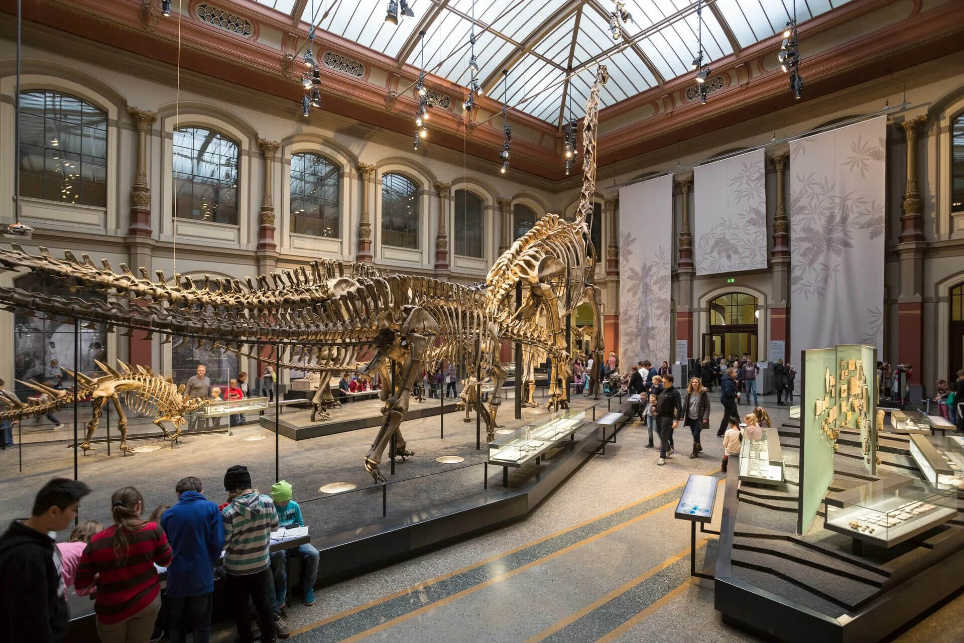 Скелет жираффатитана, музей естествознания в Берлине
