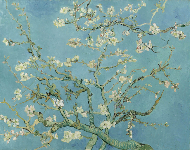 Картина «Цветущие ветки миндаля», Винсент Ван Гог